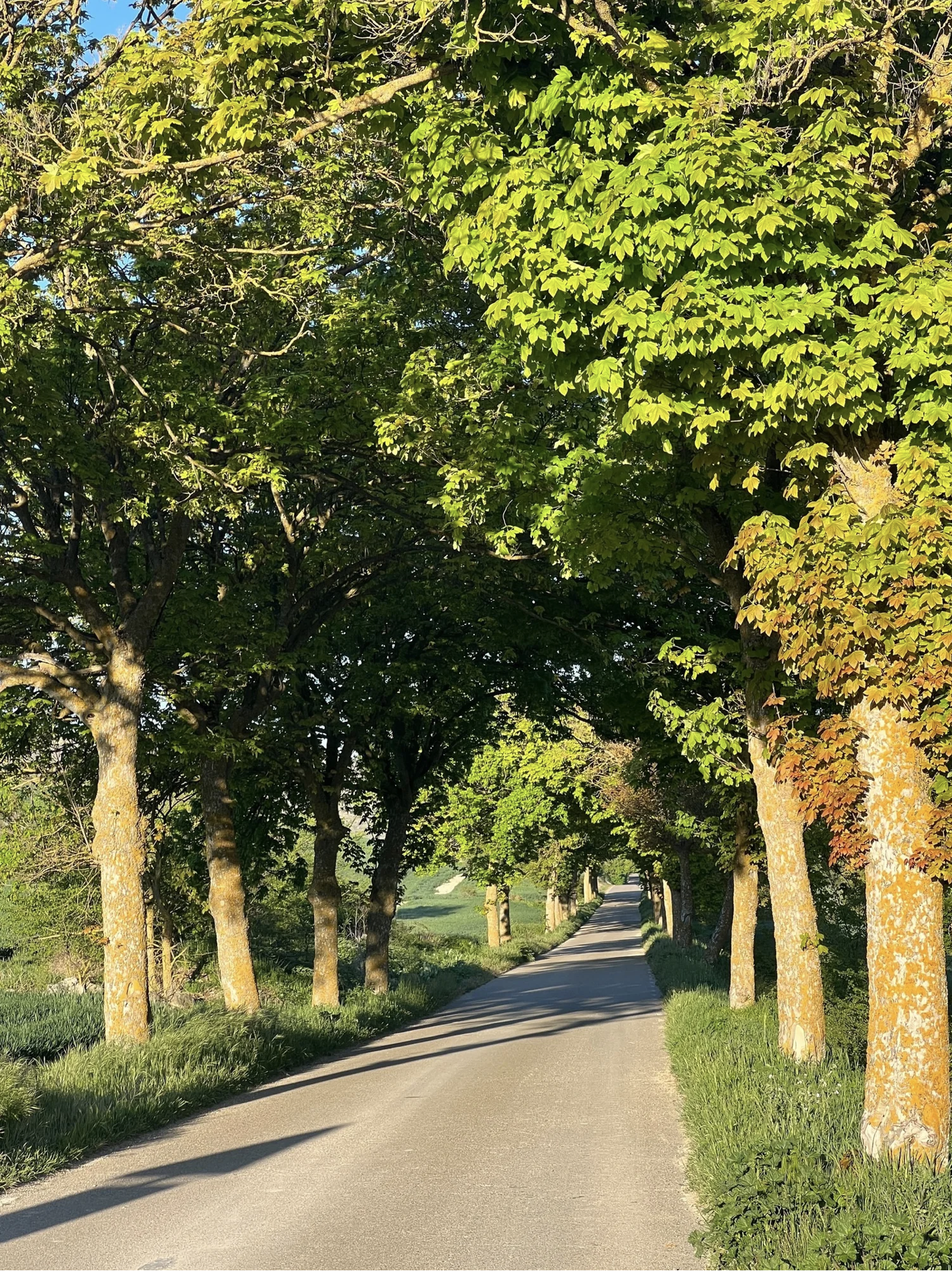 Screenshot 2026-03-10 at 9.45.15 AM.png