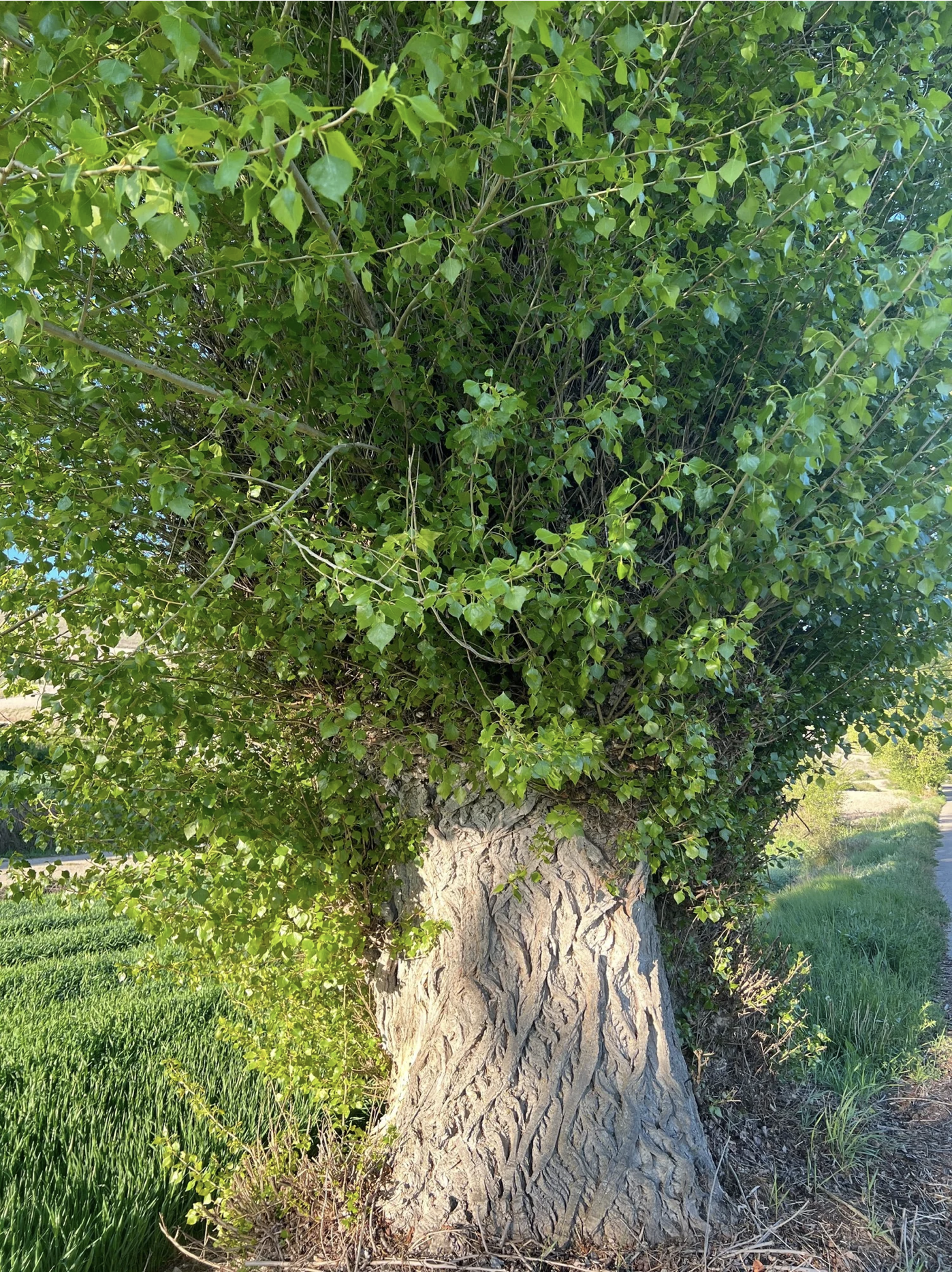 Screenshot 2026-03-10 at 9.45.27 AM.png