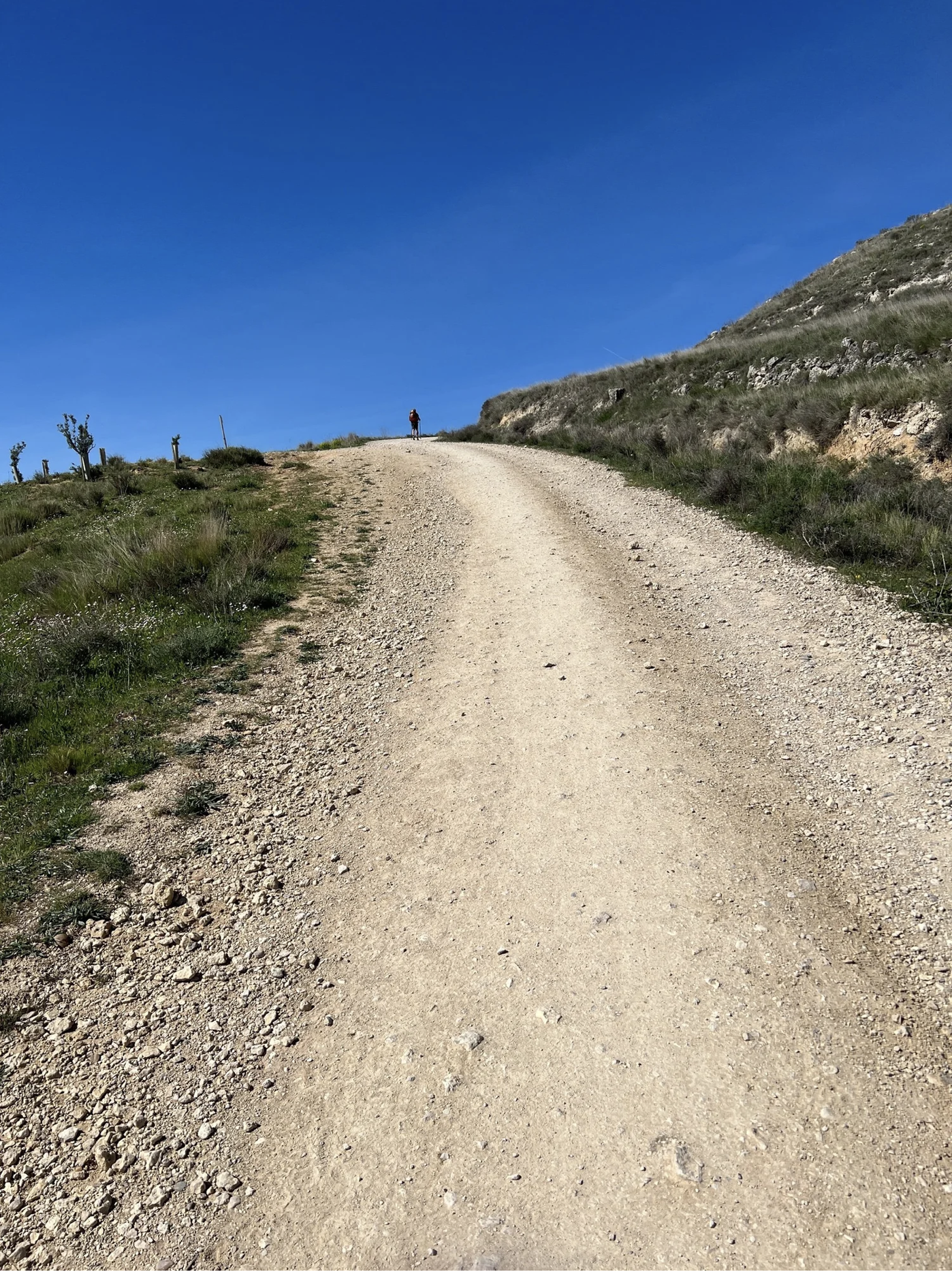 Screenshot 2026-03-10 at 9.46.17 AM.png