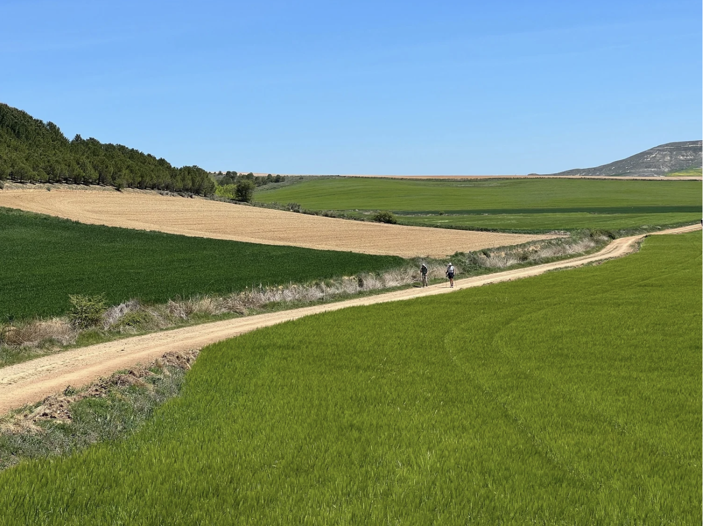 Screenshot 2026-03-10 at 9.46.29 AM.png