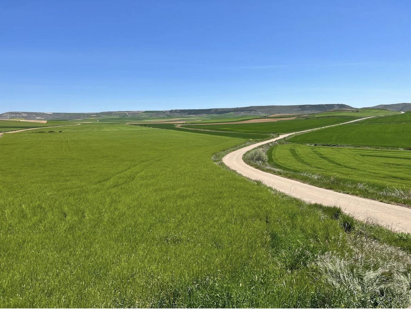 Screenshot 2026-03-10 at 9.46.39 AM.png