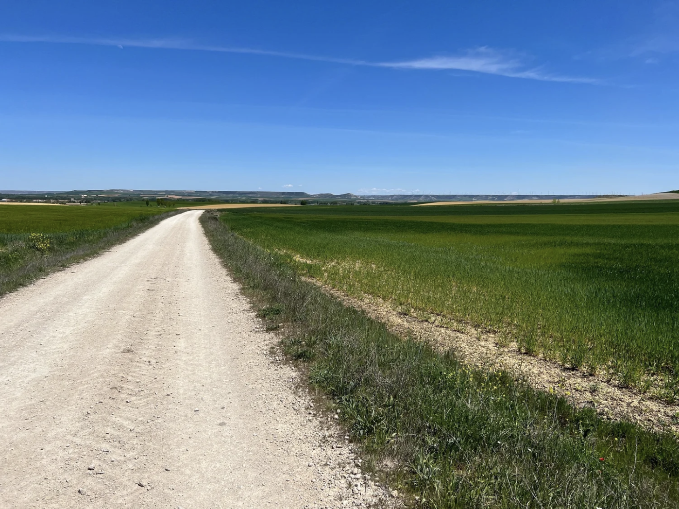 Screenshot 2026-03-10 at 9.47.02 AM.png