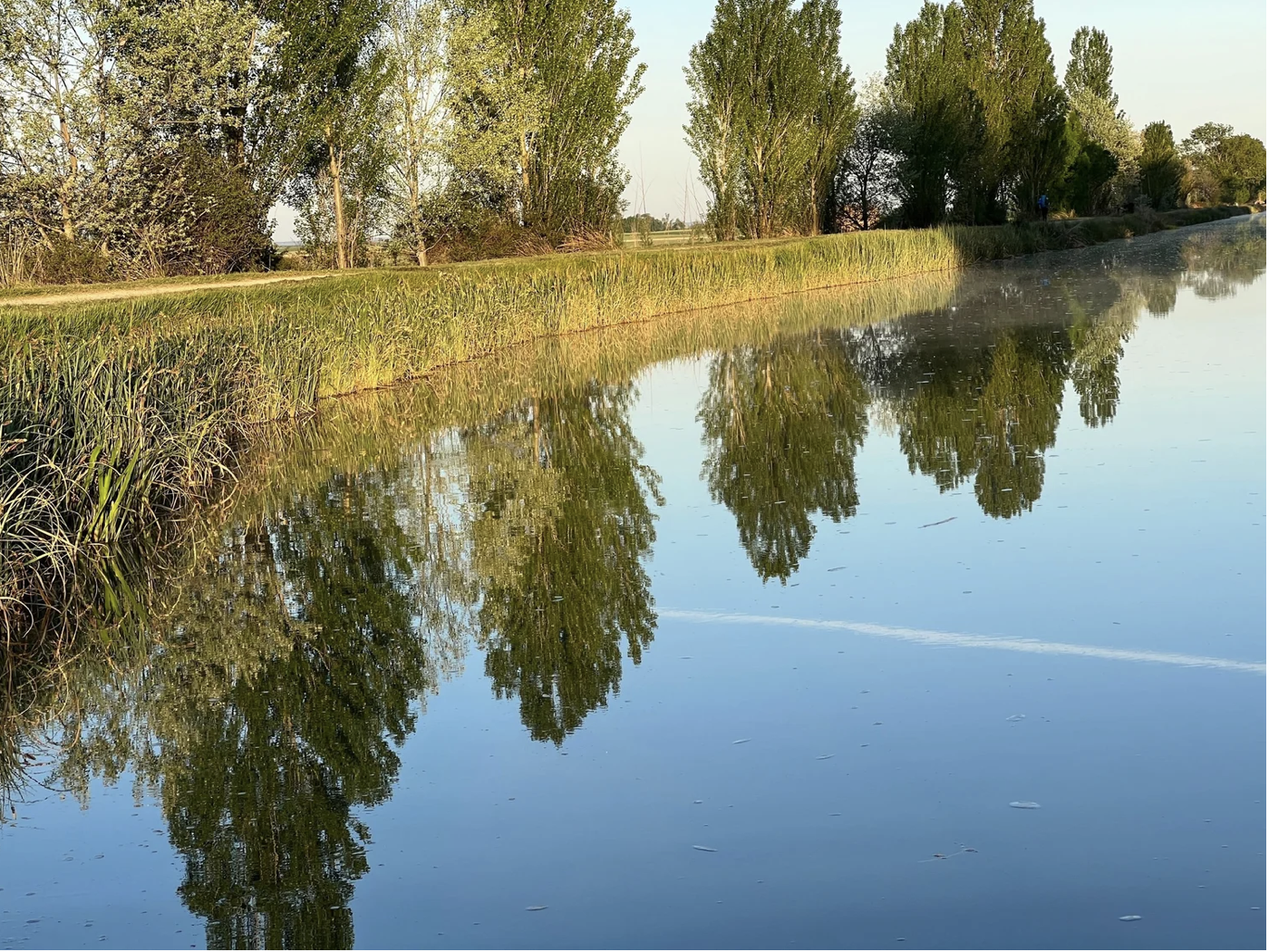 Screenshot 2026-03-10 at 9.51.50 AM.png