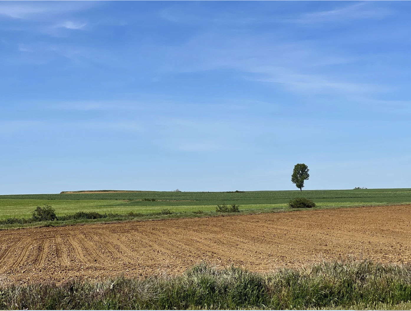 Screenshot 2026-03-10 at 9.52.27 AM.png