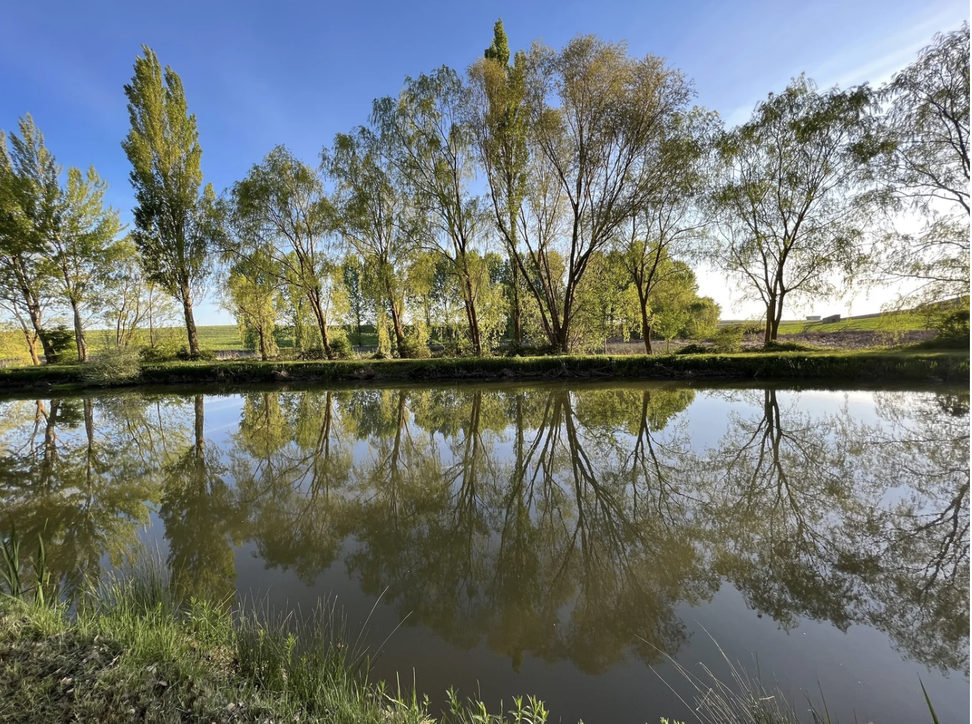 Screenshot 2026-03-10 at 9.53.03 AM.png