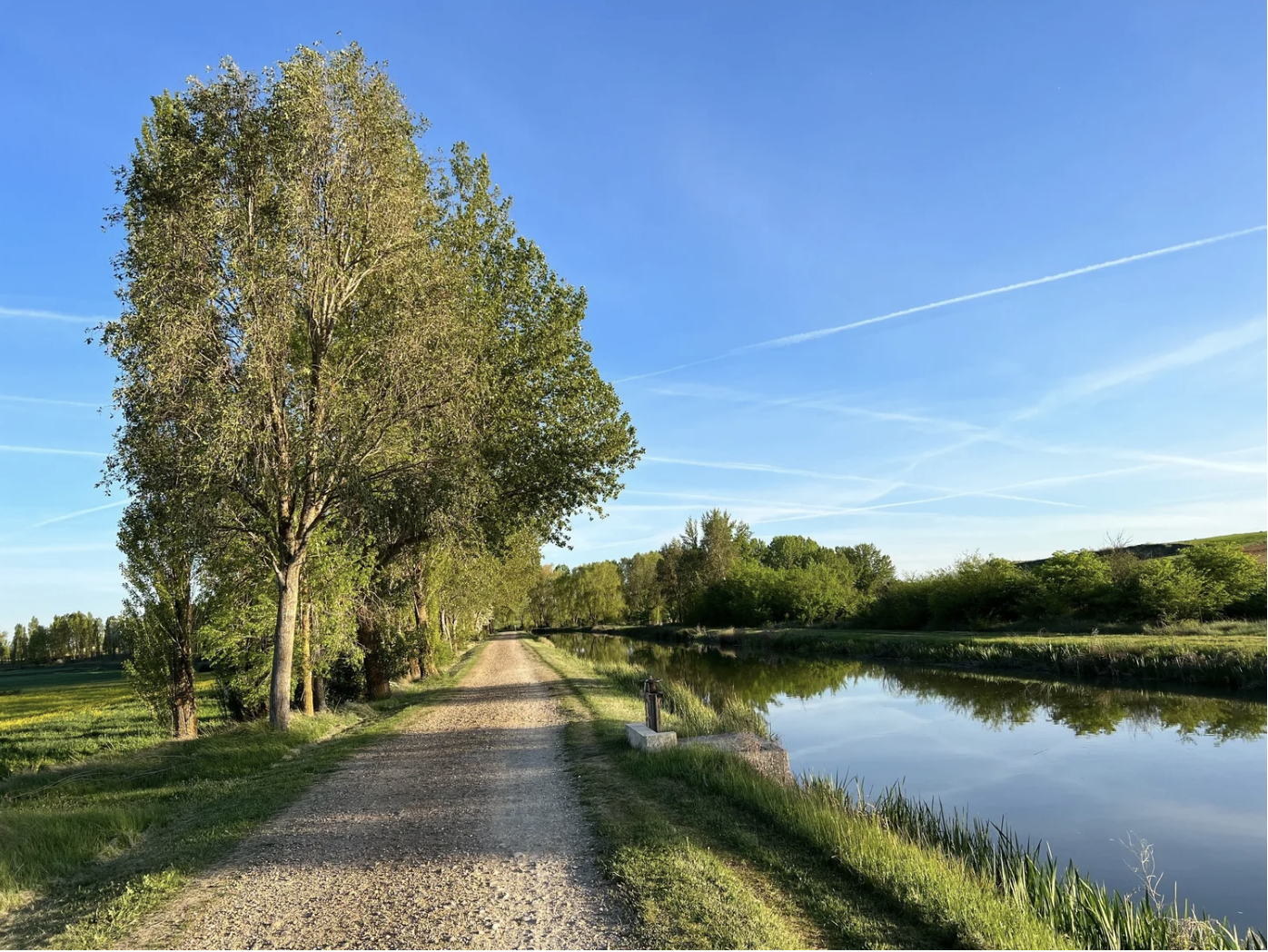 Screenshot 2026-03-10 at 9.53.22 AM.png