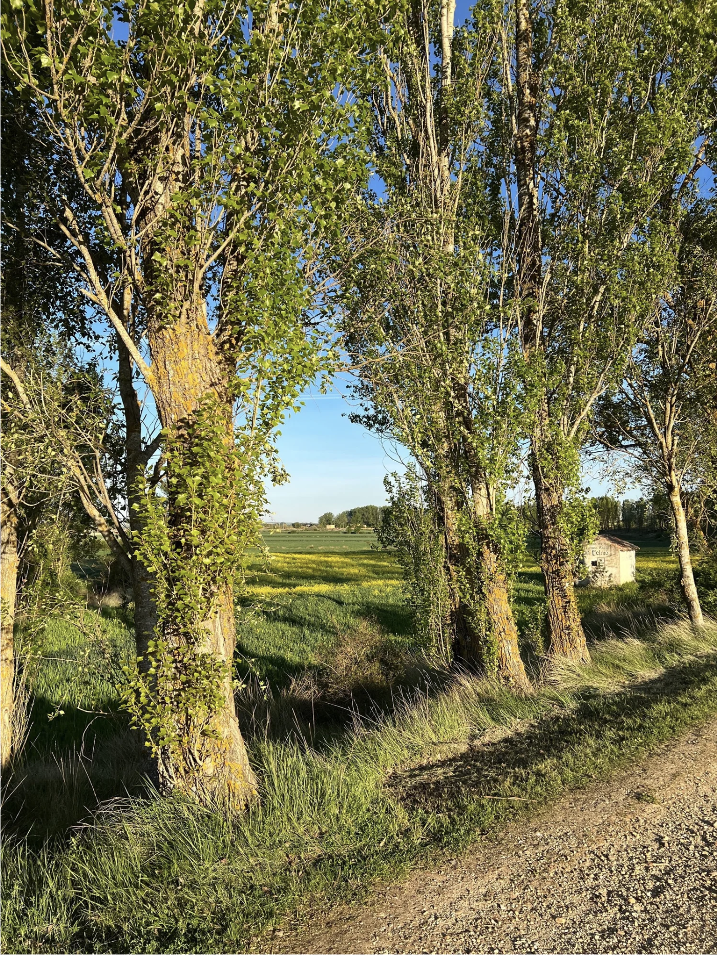 Screenshot 2026-03-10 at 9.54.34 AM.png