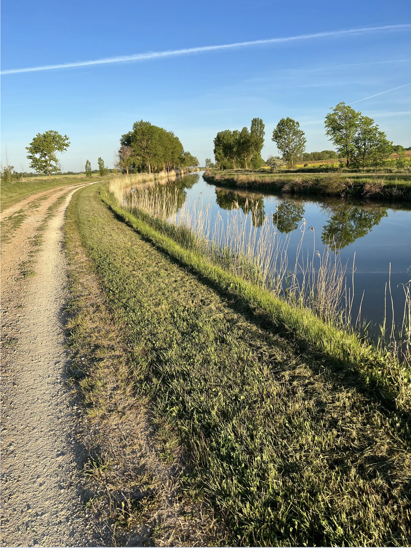 Screenshot 2026-03-10 at 9.54.49 AM.png