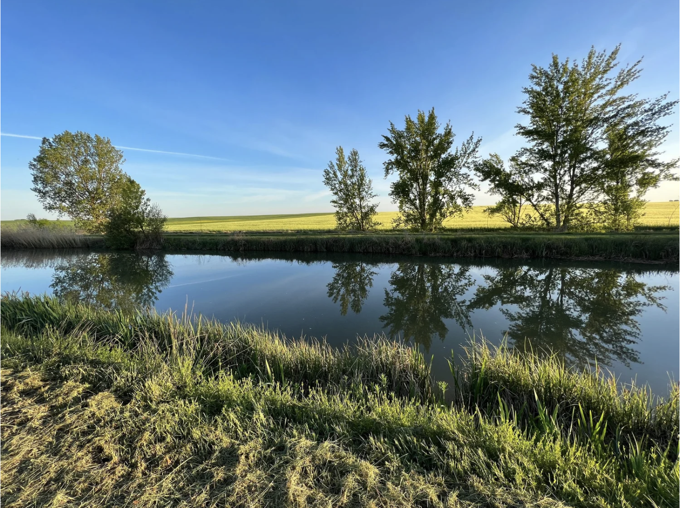 Screenshot 2026-03-10 at 9.55.02 AM.png