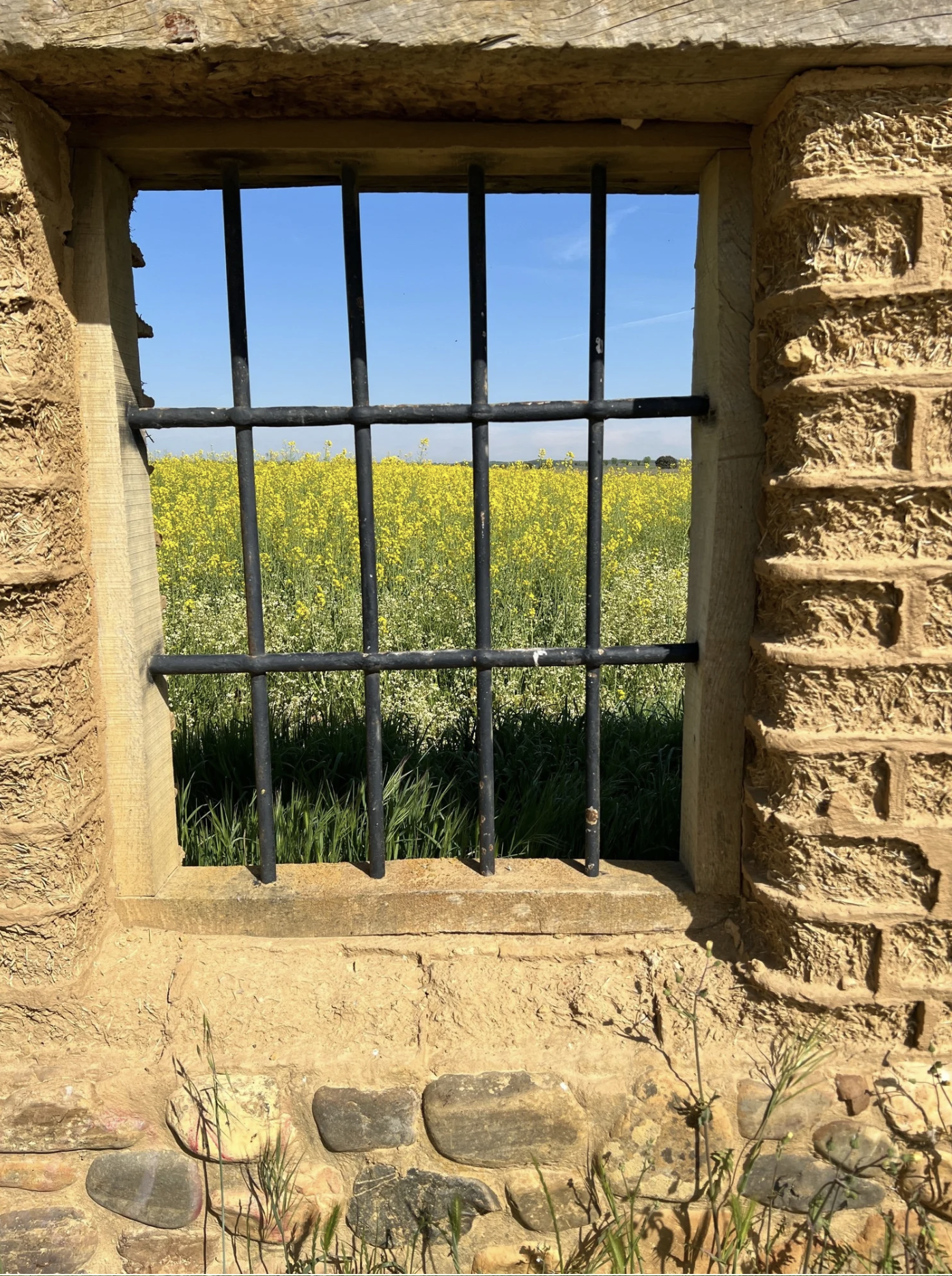 Screenshot 2026-03-10 at 10.01.01 AM.png