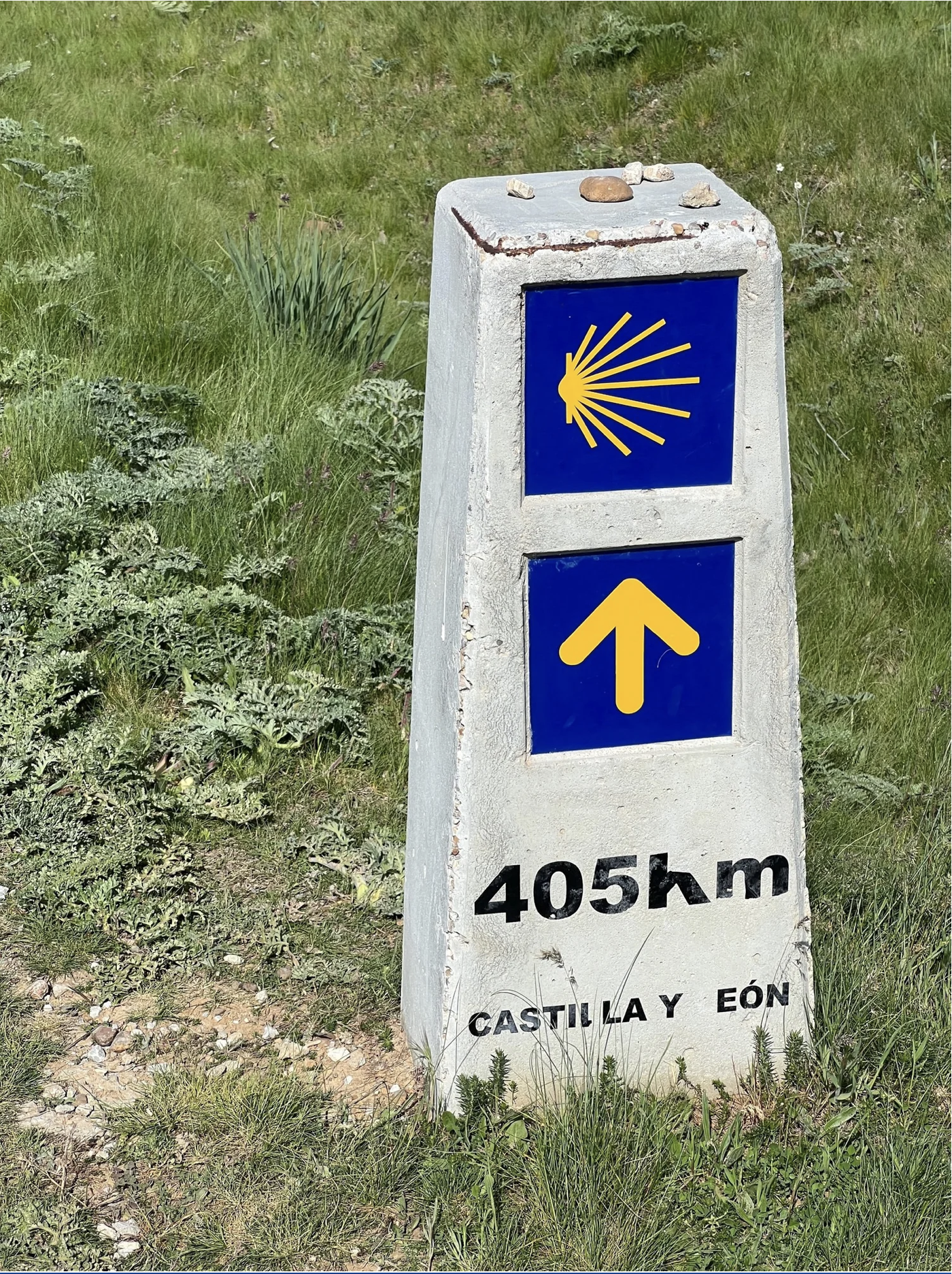 Screenshot 2026-03-10 at 10.01.12 AM.png