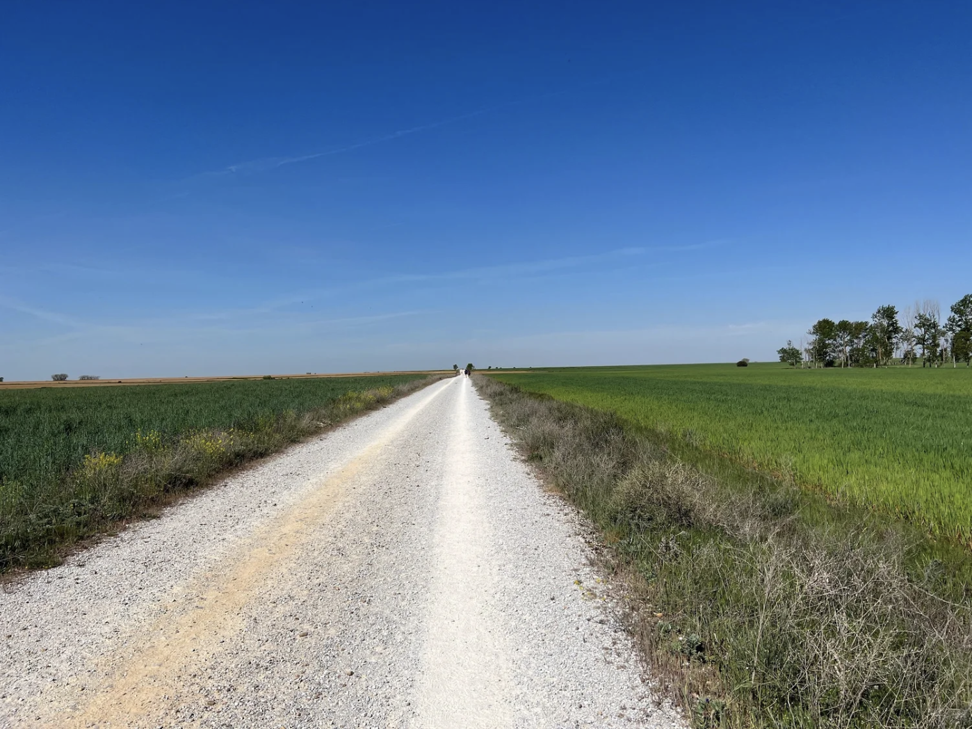 Screenshot 2026-03-10 at 10.01.24 AM.png