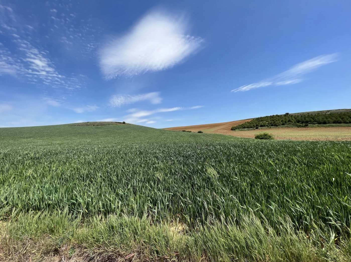 Screenshot 2026-03-10 at 10.01.47 AM.png