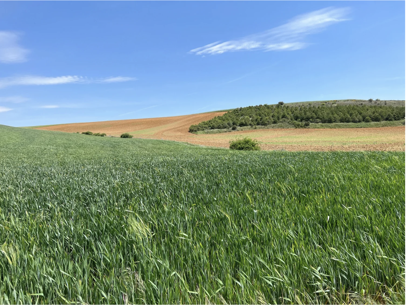 Screenshot 2026-03-10 at 10.02.14 AM.png