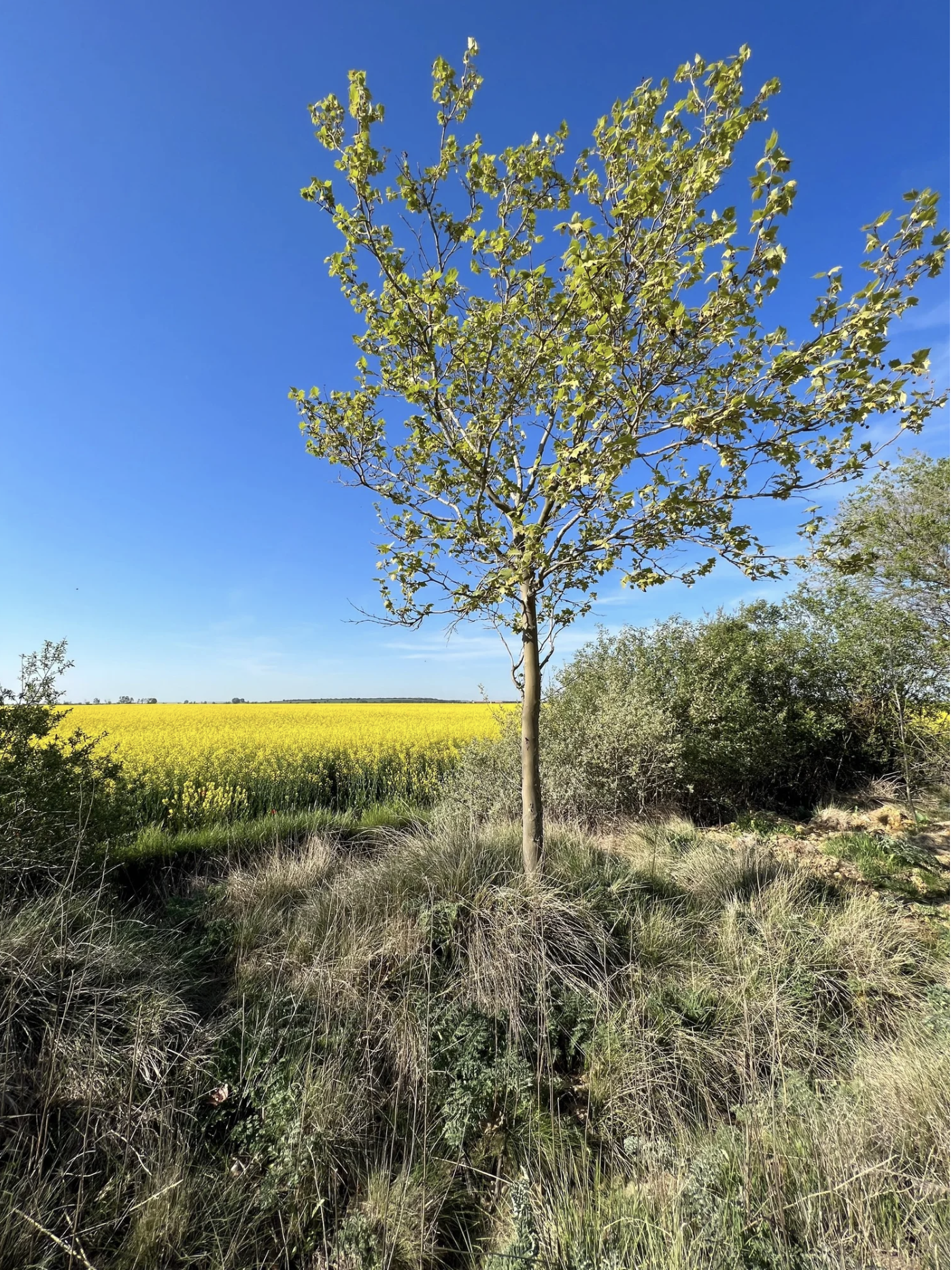 Screenshot 2026-03-10 at 10.03.35 AM.png