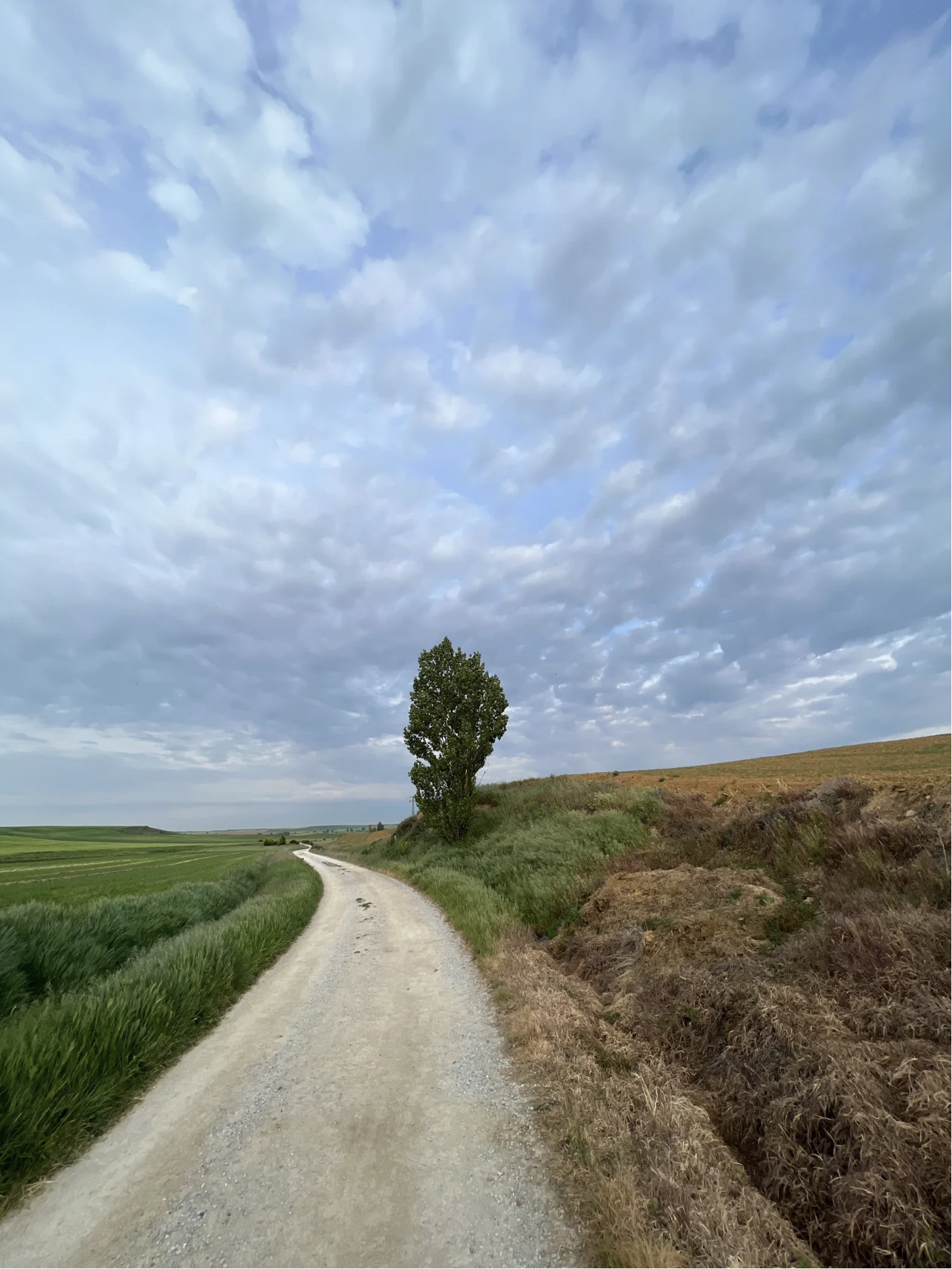 Screenshot 2026-03-10 at 10.13.49 AM.png