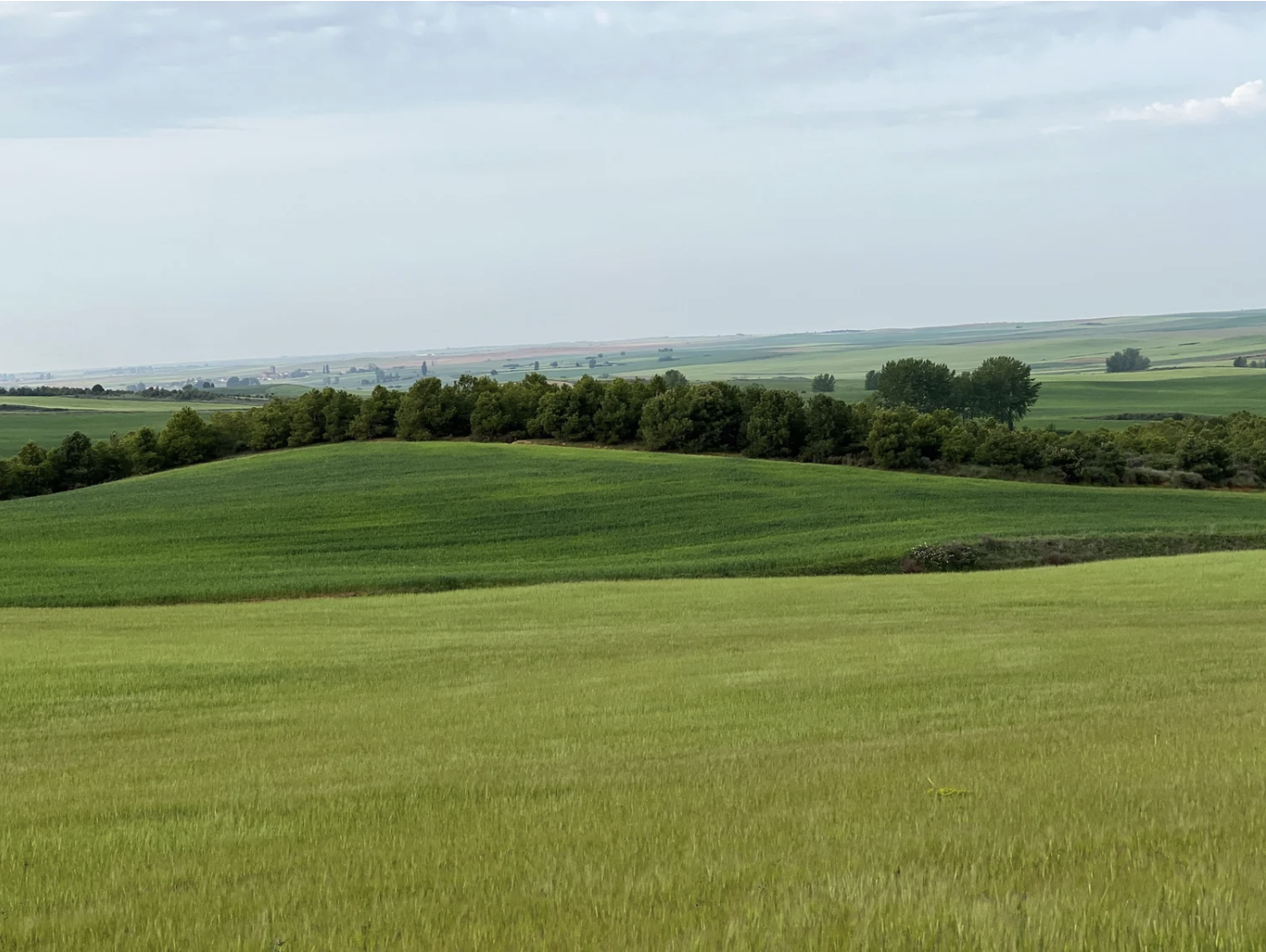 Screenshot 2026-03-10 at 10.14.10 AM.png