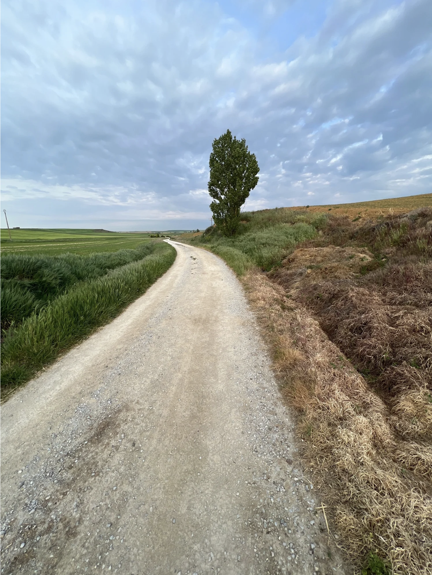 Screenshot 2026-03-10 at 10.14.48 AM.png