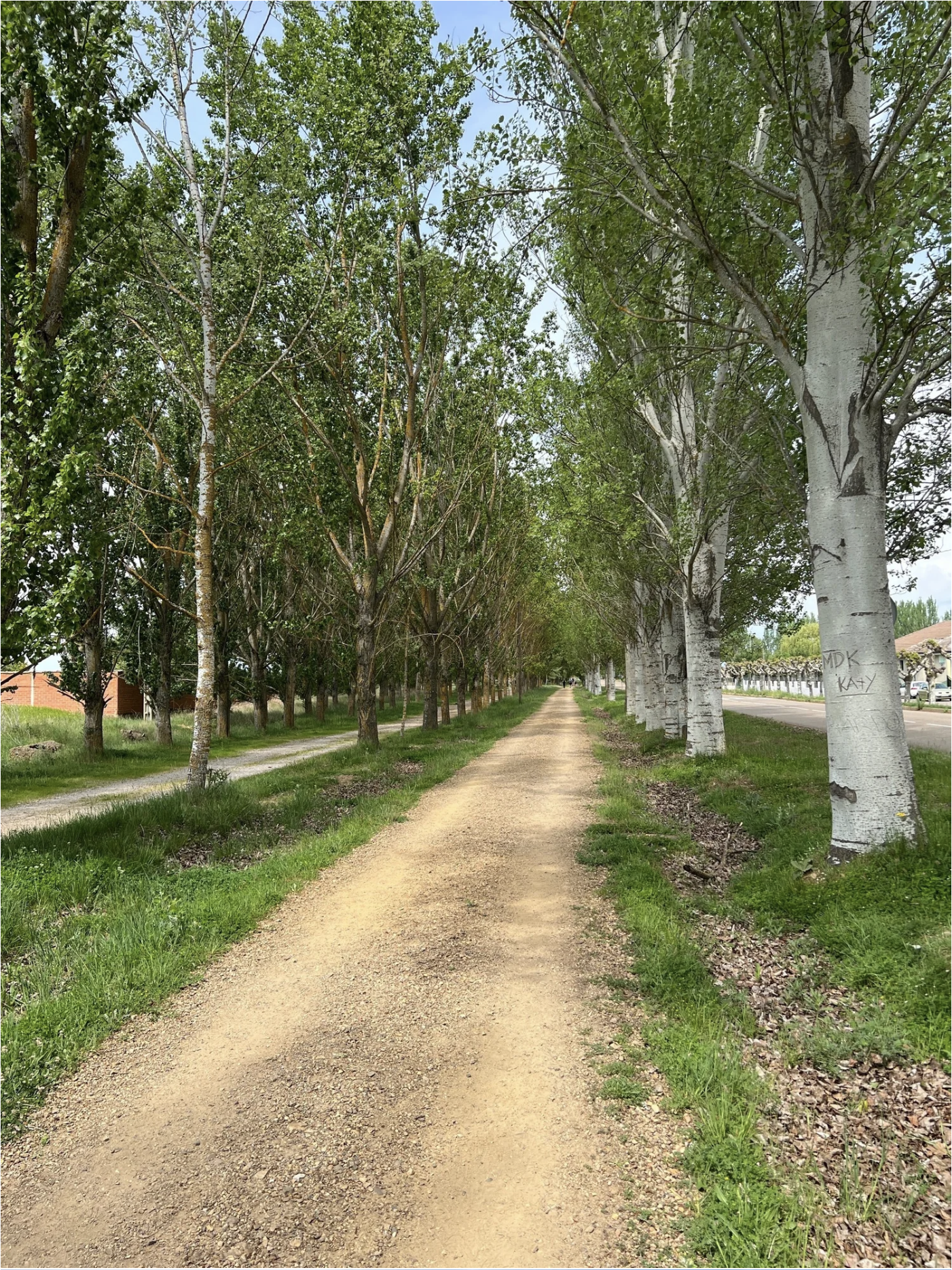 Screenshot 2026-03-10 at 10.16.29 AM.png