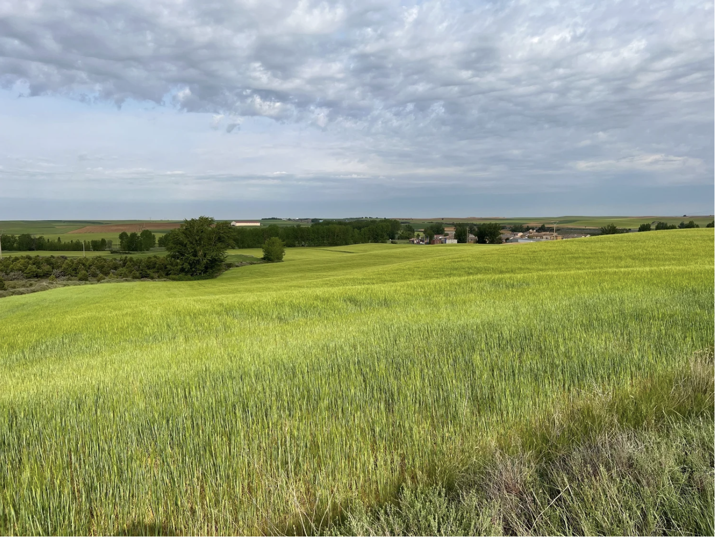 Screenshot 2026-03-10 at 10.17.05 AM.png