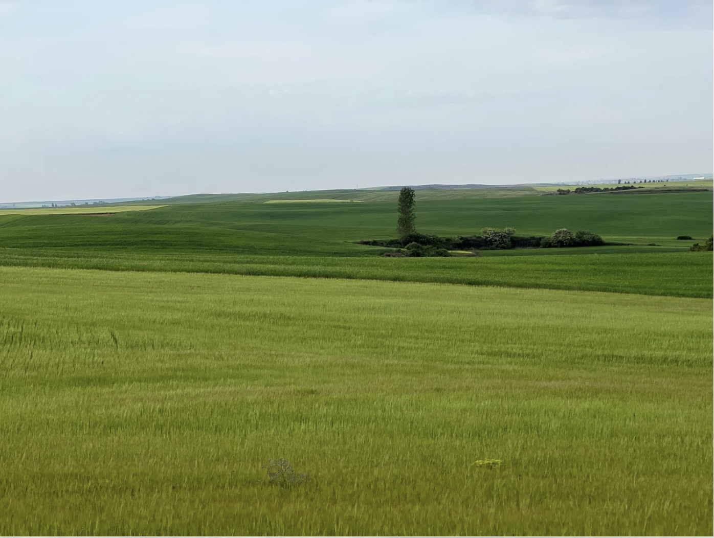 Screenshot 2026-03-10 at 10.17.16 AM.png