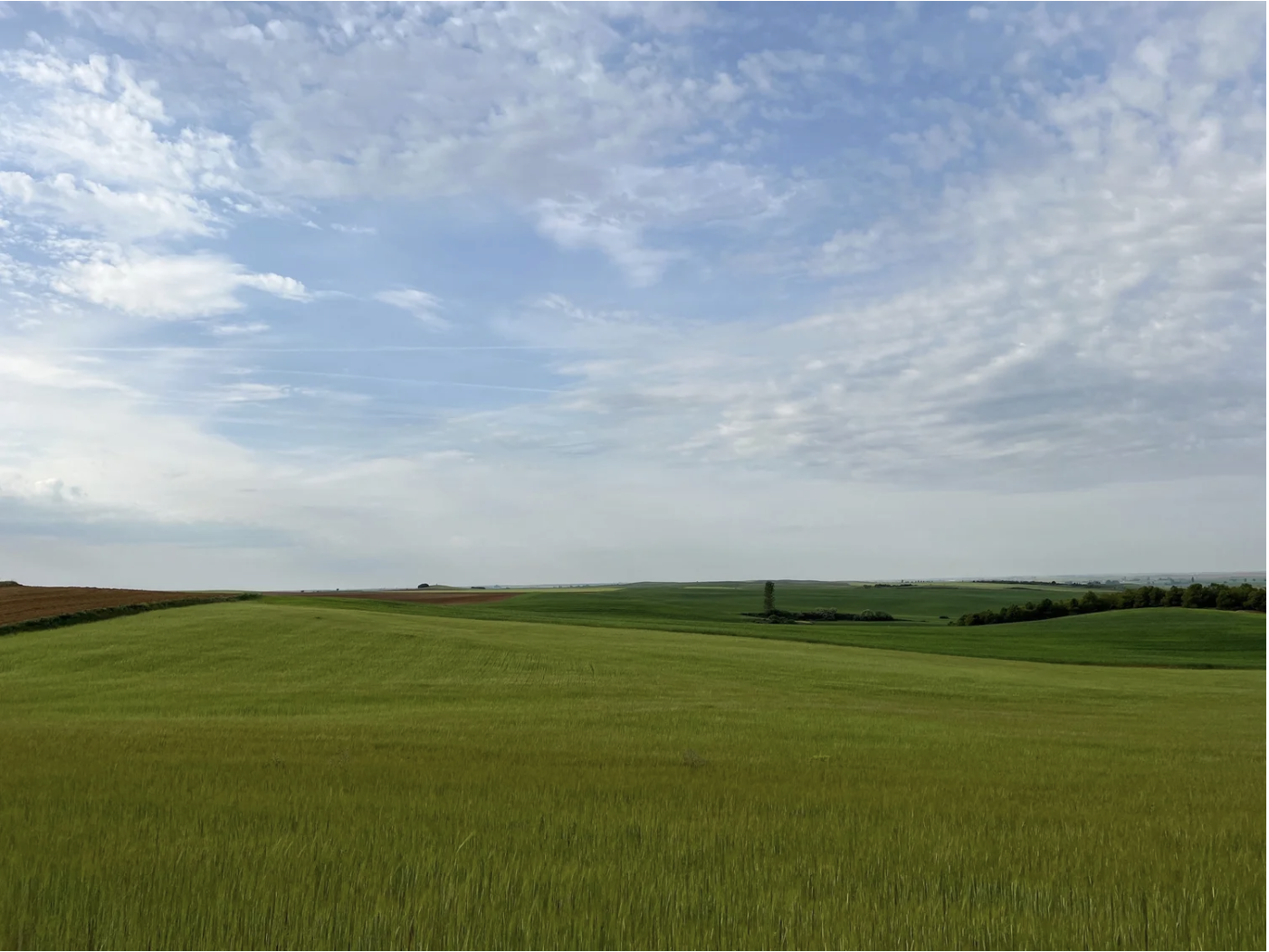 Screenshot 2026-03-10 at 10.17.27 AM.png