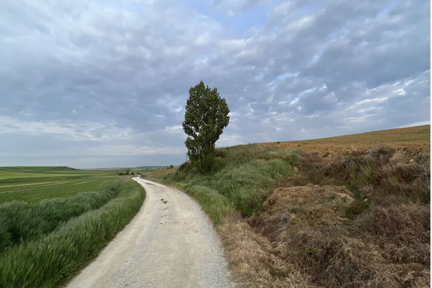 Day 20 Terradillos to Bercianos