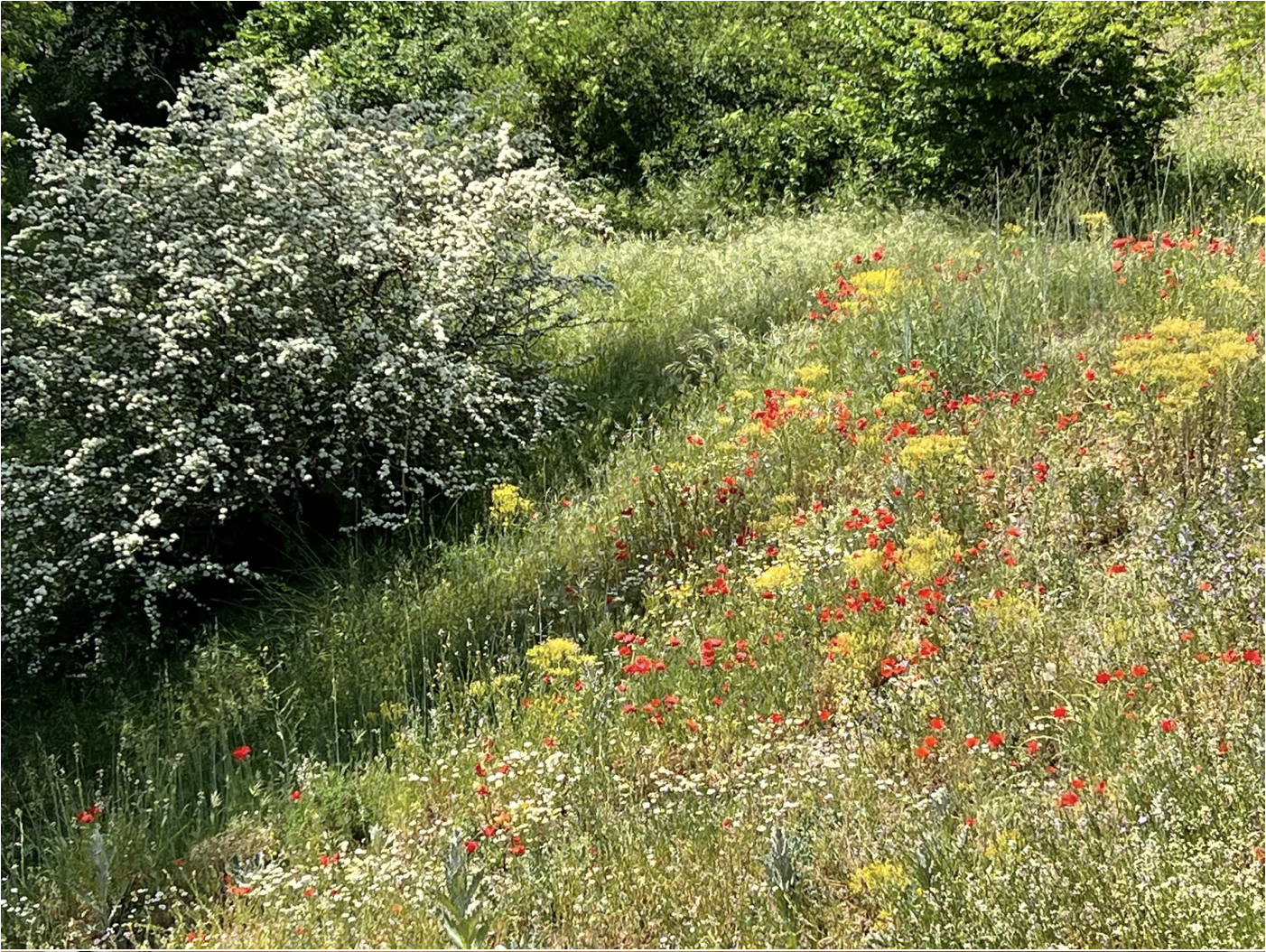 Screenshot 2026-03-10 at 10.20.41 AM.png