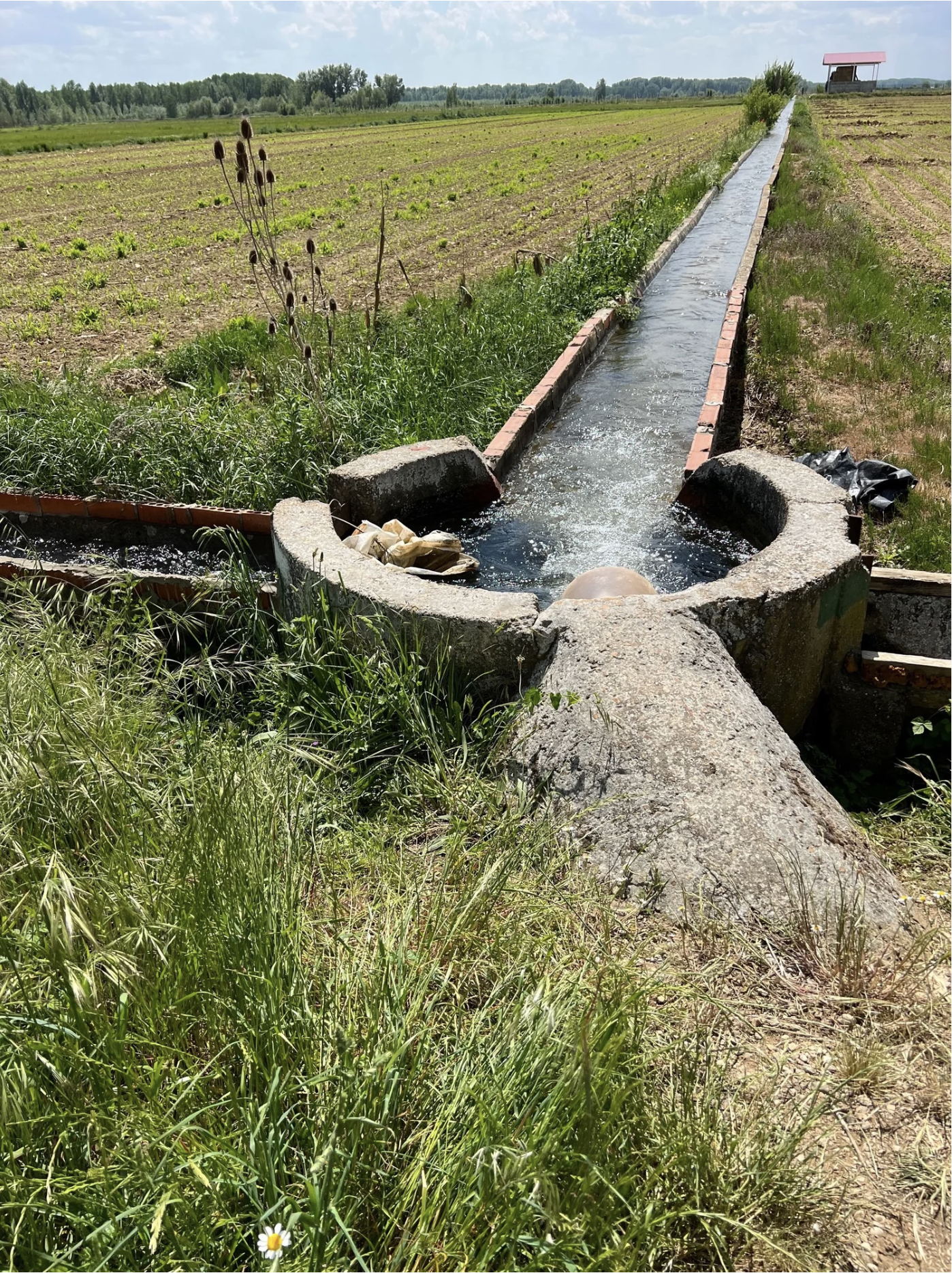 Screenshot 2026-03-10 at 10.21.16 AM.png