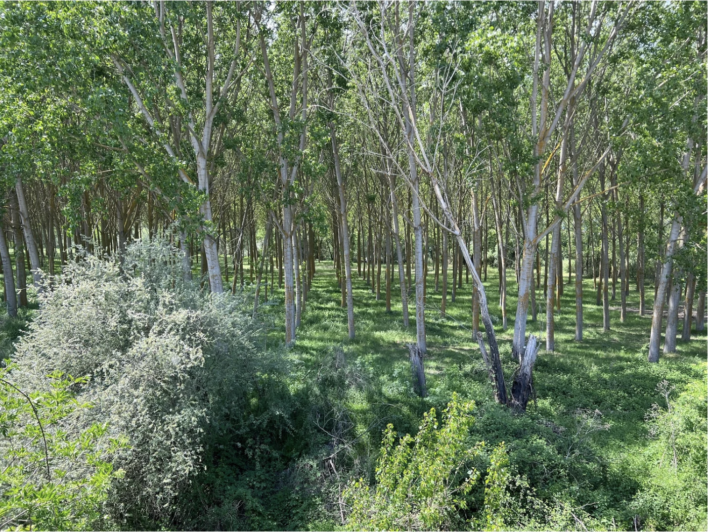 Screenshot 2026-03-10 at 10.21.28 AM.png