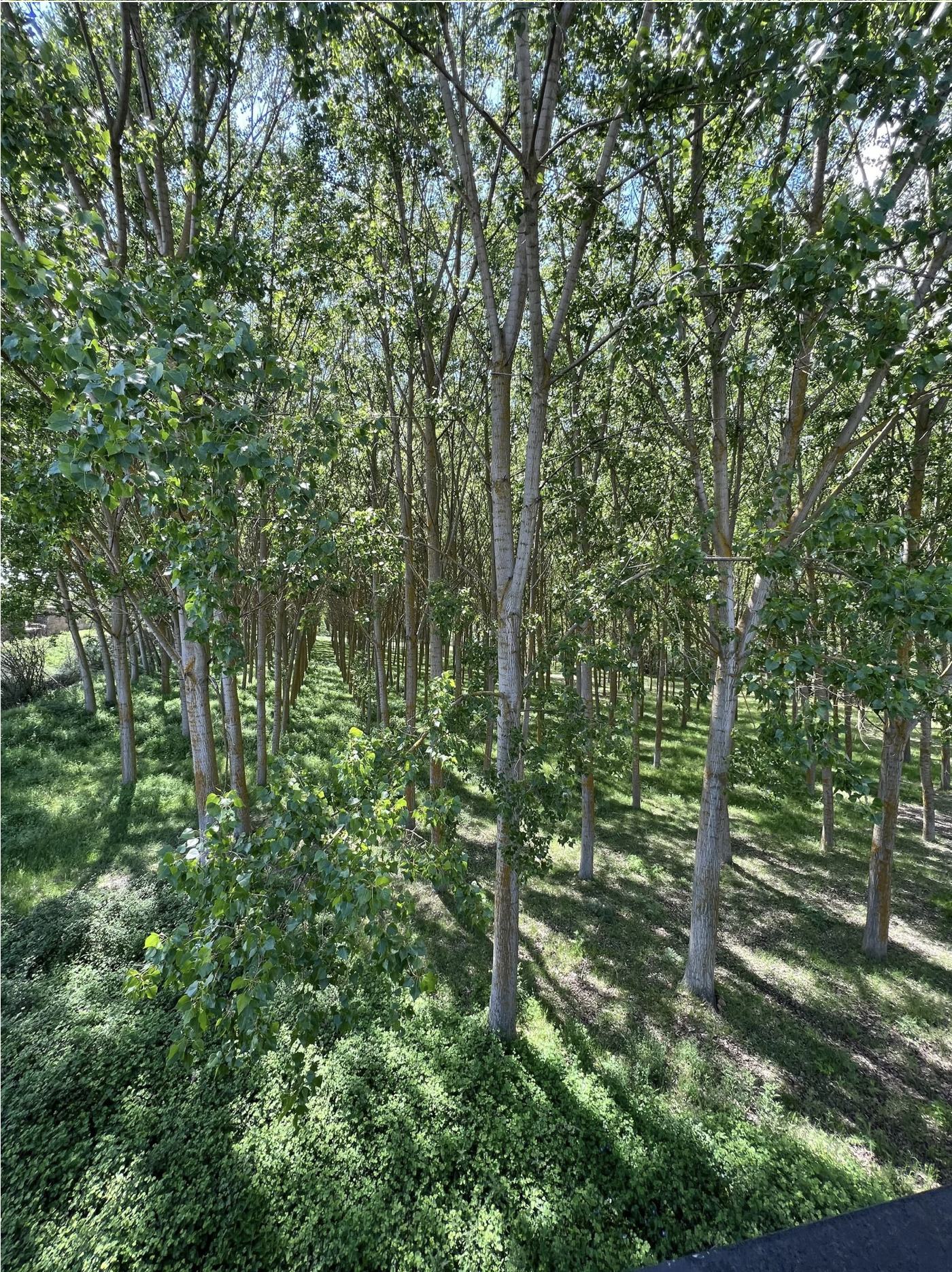 Screenshot 2026-03-10 at 10.21.40 AM.png