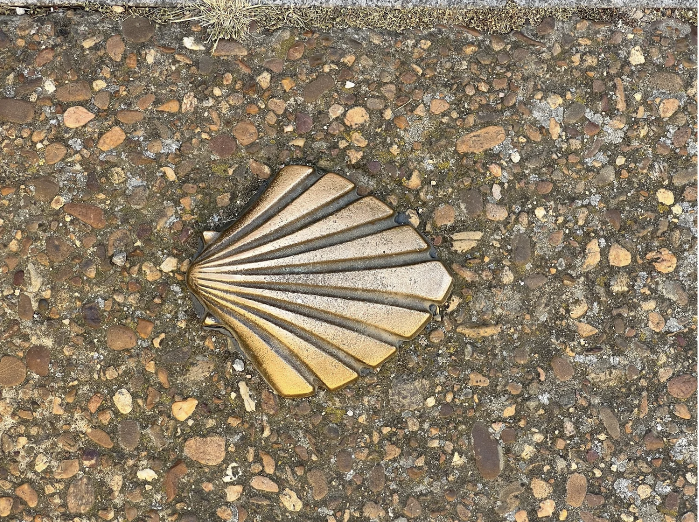 Screenshot 2026-03-10 at 10.22.02 AM.png