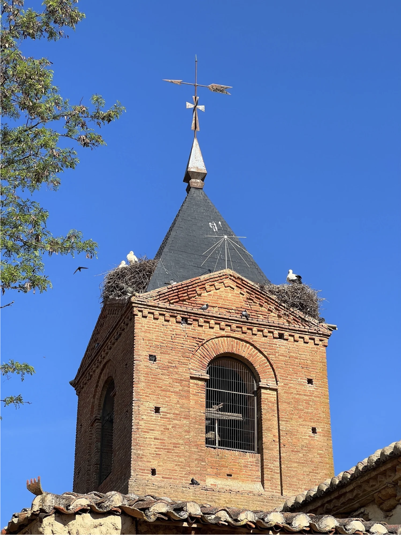 Screenshot 2026-03-10 at 10.22.32 AM.png