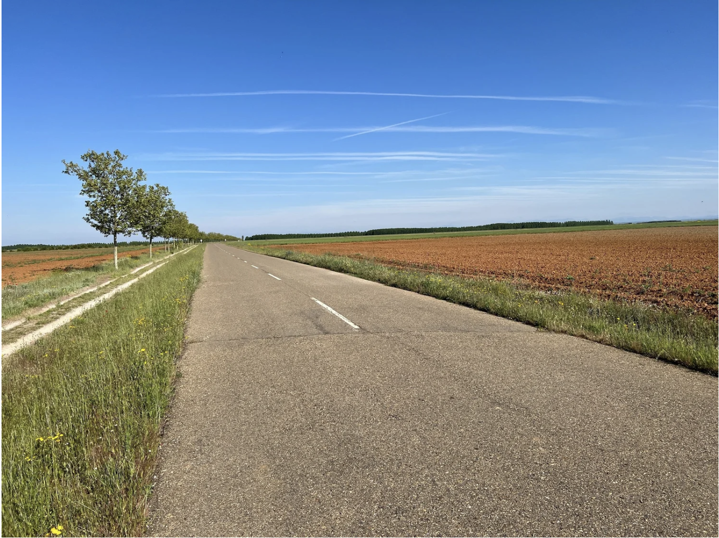 Screenshot 2026-03-10 at 10.22.58 AM.png