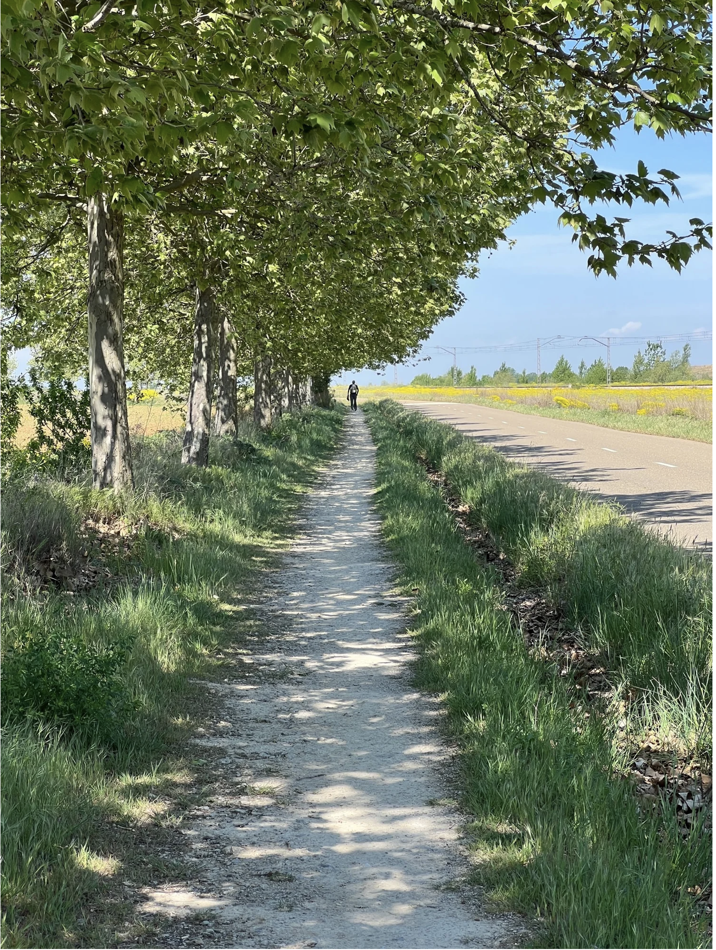 Screenshot 2026-03-10 at 10.23.11 AM.png