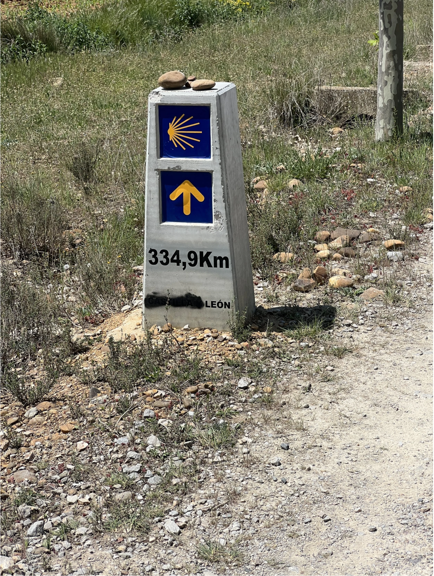 Screenshot 2026-03-10 at 10.33.23 AM.png