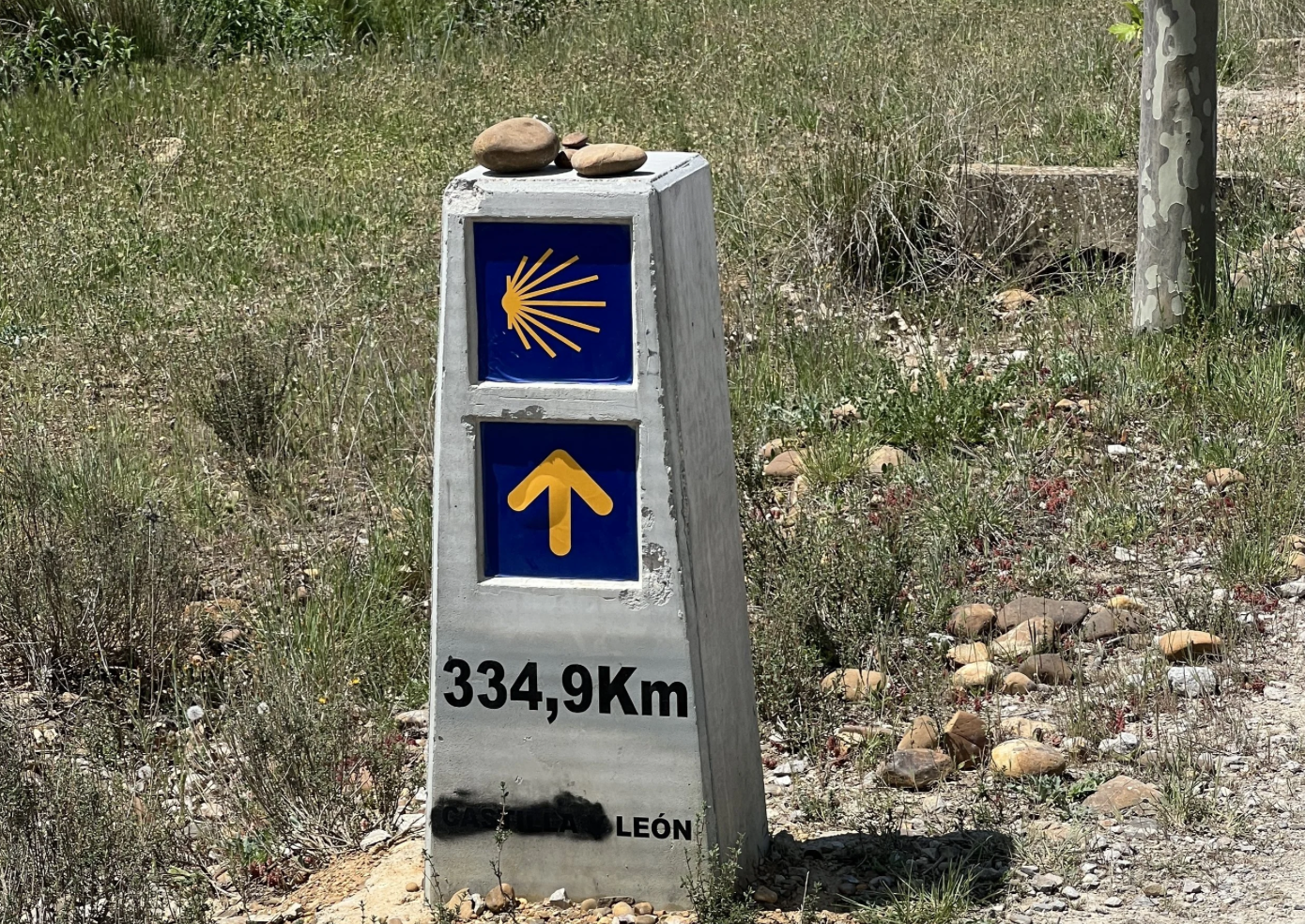 Day 22 To-date Stats