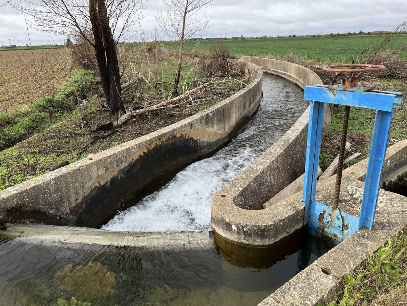 Screenshot 2026-03-10 at 10.46.56 AM.png