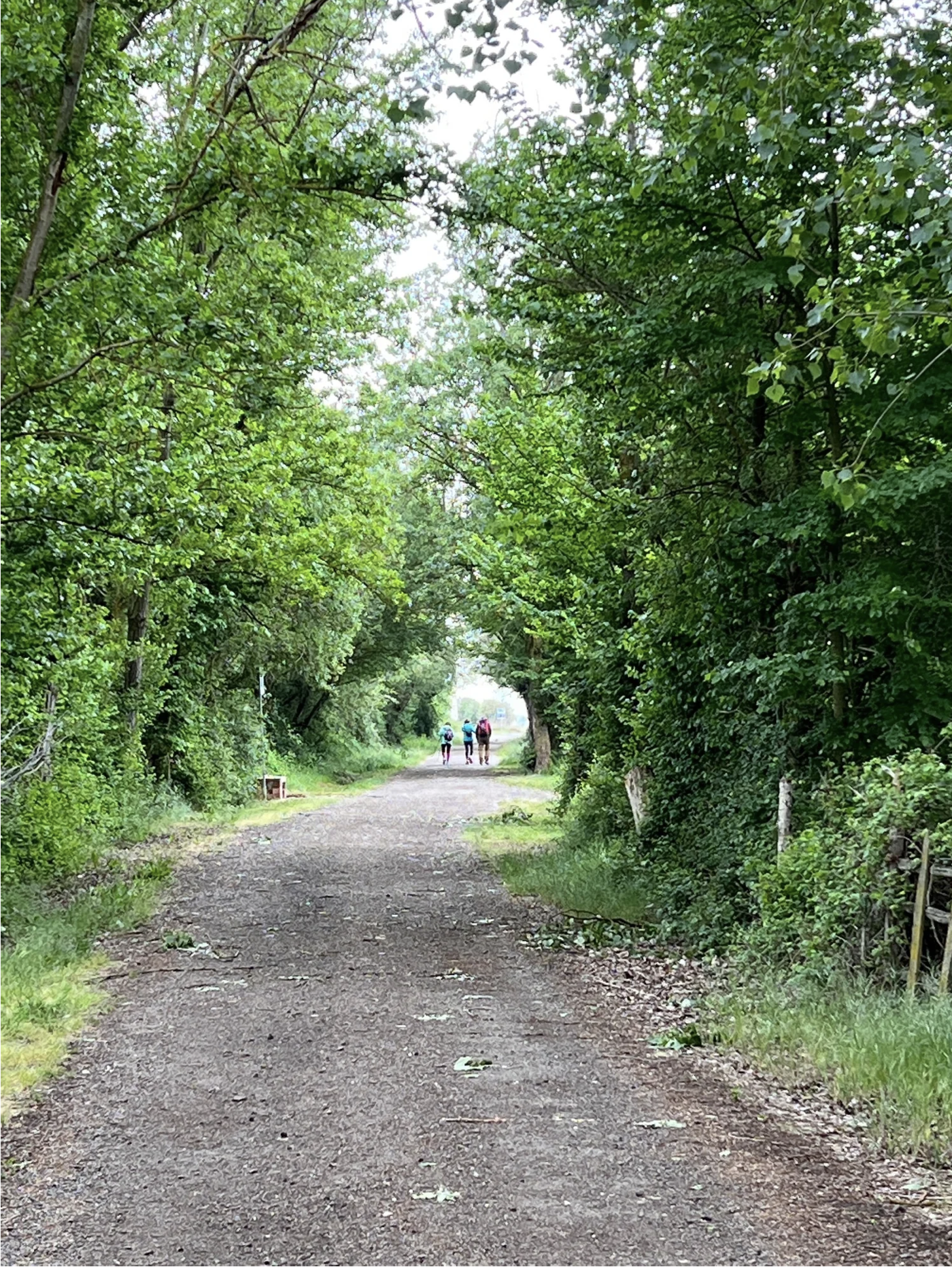 Screenshot 2026-03-10 at 10.47.06 AM.png