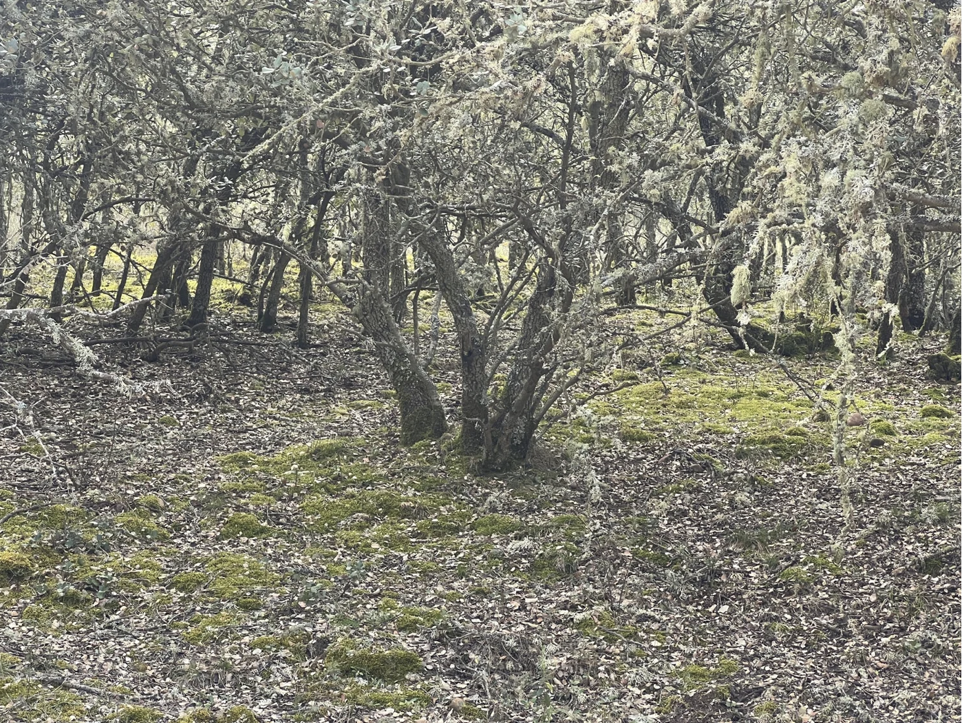 Screenshot 2026-03-10 at 3.52.40 PM.png