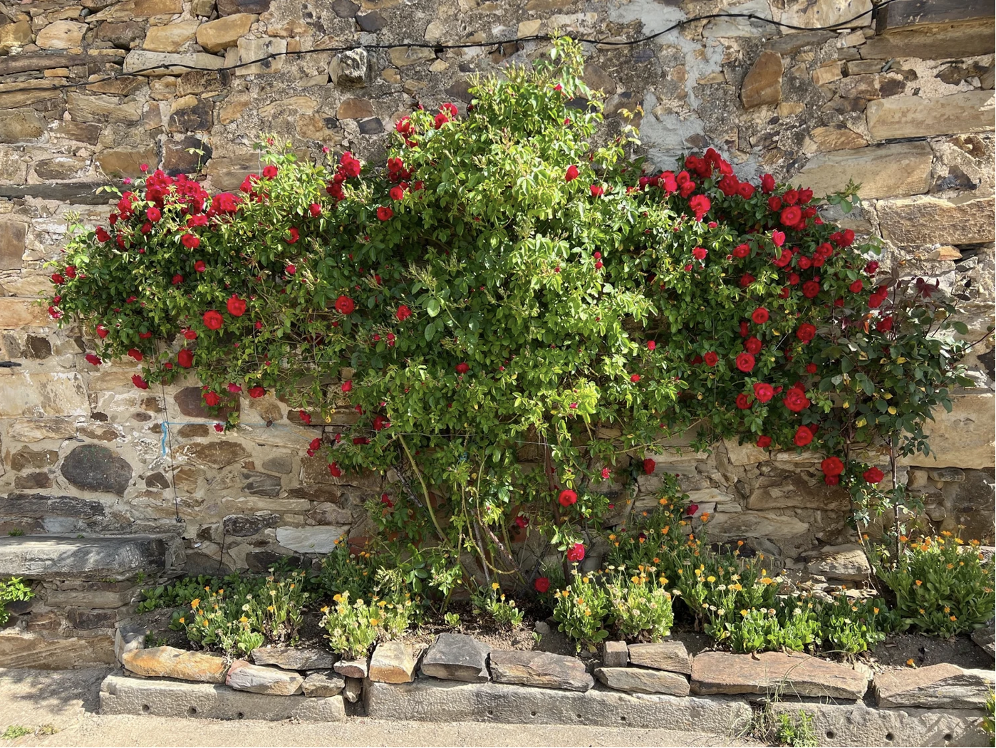 Screenshot 2026-03-10 at 3.55.51 PM.png