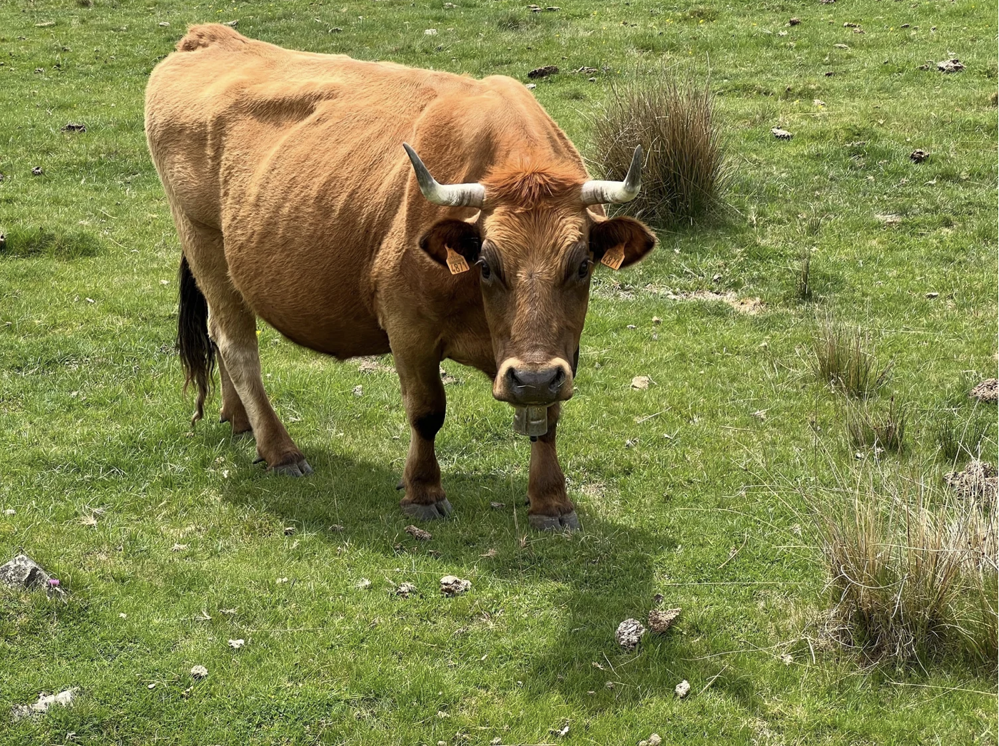 Screenshot 2026-03-10 at 3.58.35 PM.png