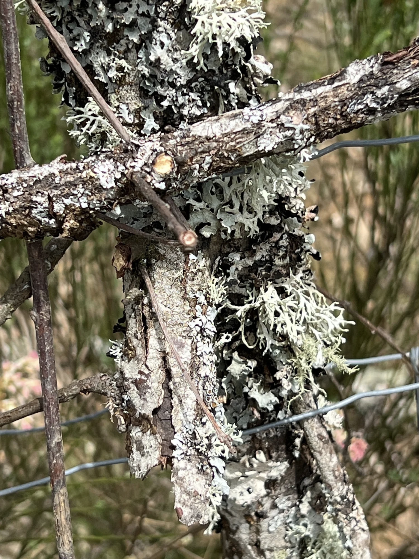 Screenshot 2026-03-10 at 3.59.04 PM.png