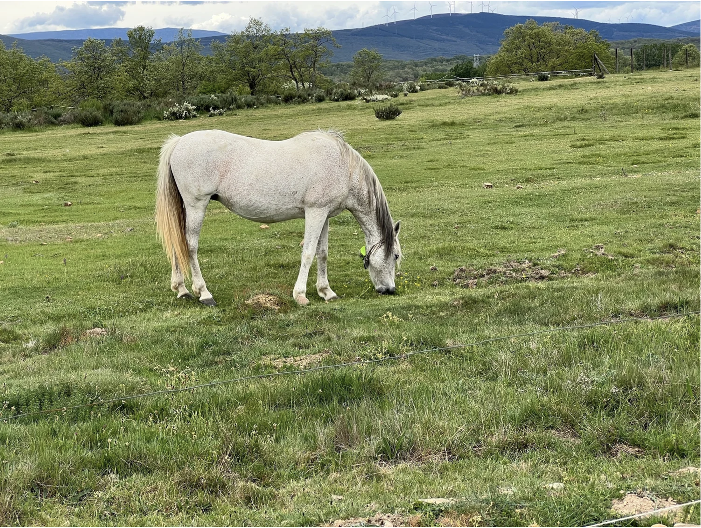 Screenshot 2026-03-10 at 3.59.33 PM.png