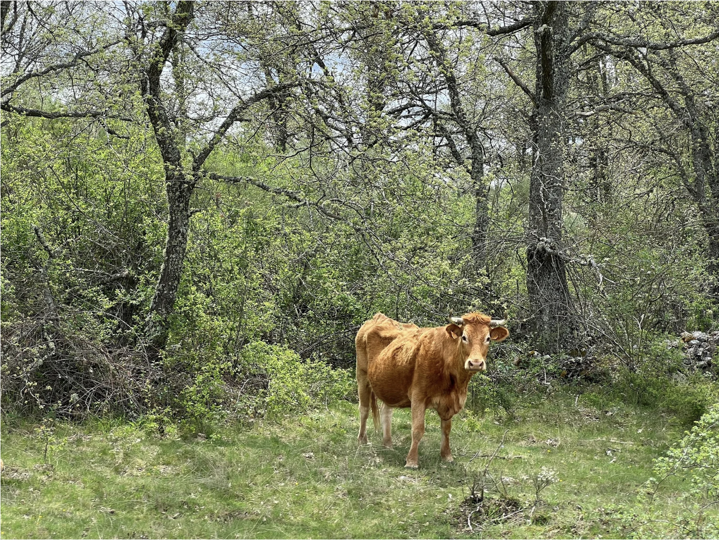 Screenshot 2026-03-10 at 4.00.05 PM.png