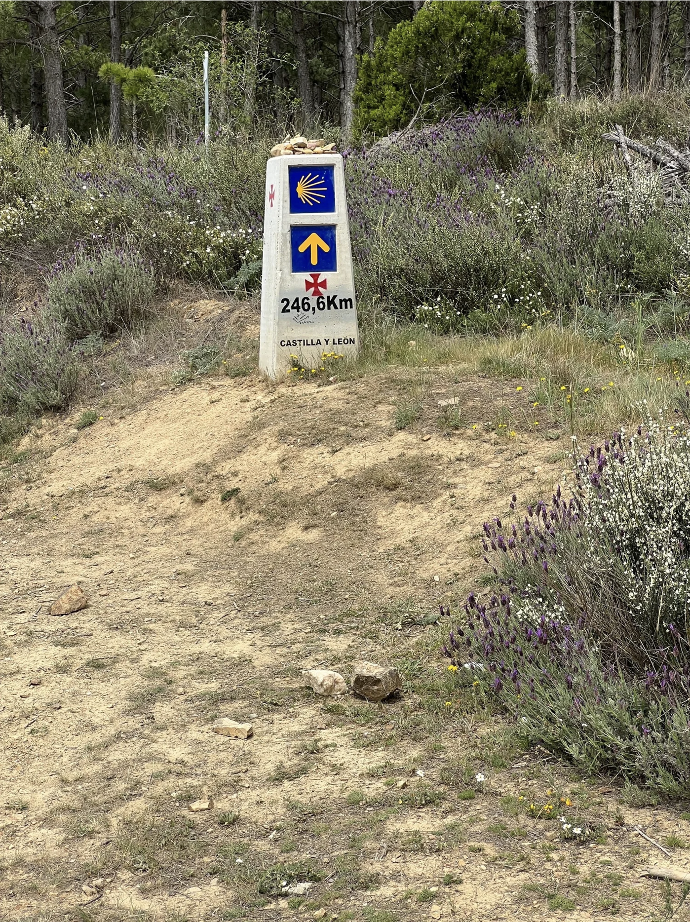 Screenshot 2026-03-10 at 4.00.34 PM.png