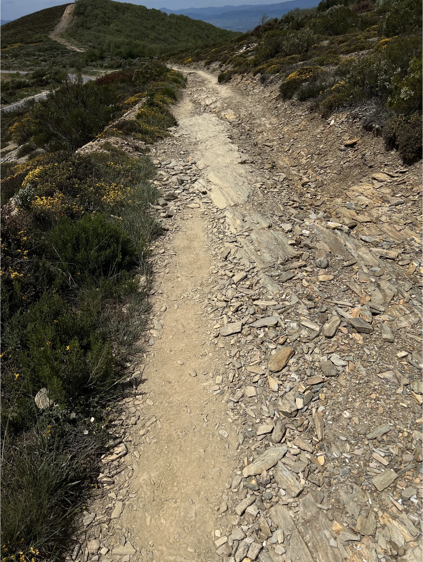 Screenshot 2026-03-10 at 4.07.43 PM.png