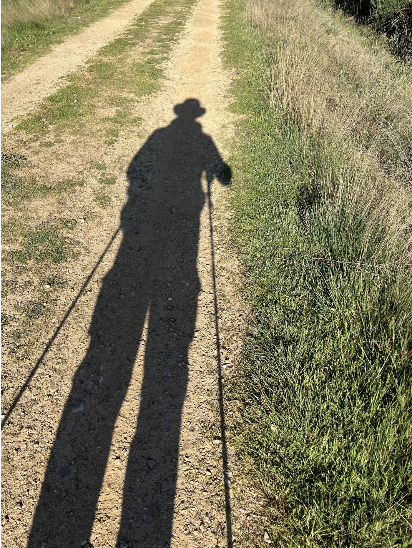 Screenshot 2026-03-10 at 4.07.58 PM.png