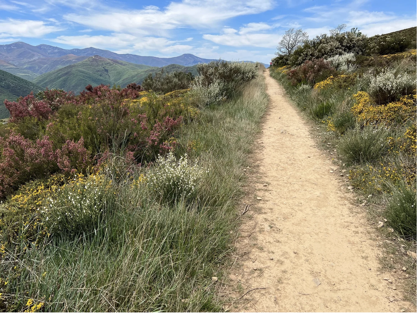 Screenshot 2026-03-10 at 4.11.07 PM.png