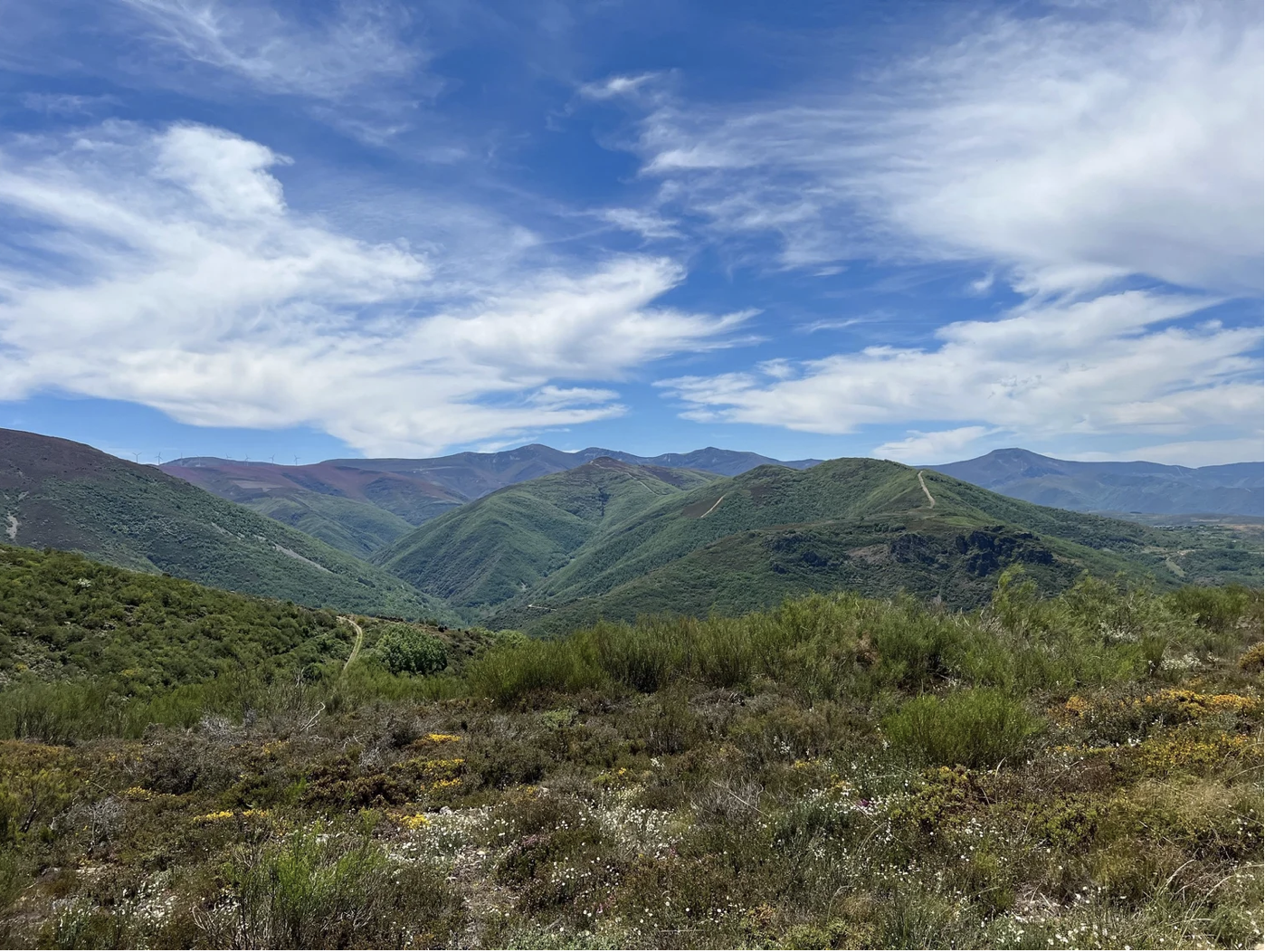 Screenshot 2026-03-10 at 4.11.24 PM.png